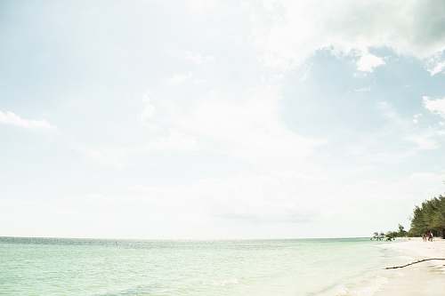 cayo jutias green sea cuba